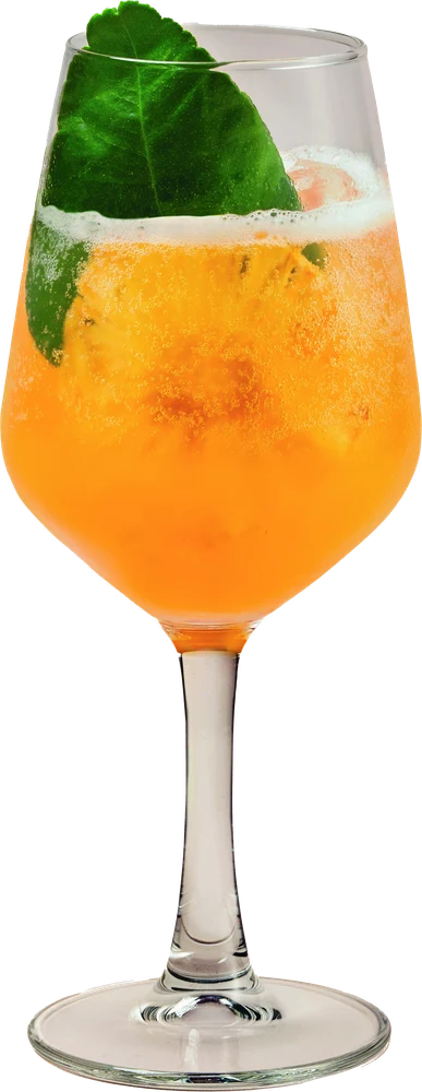 Citrus Berry Fizz